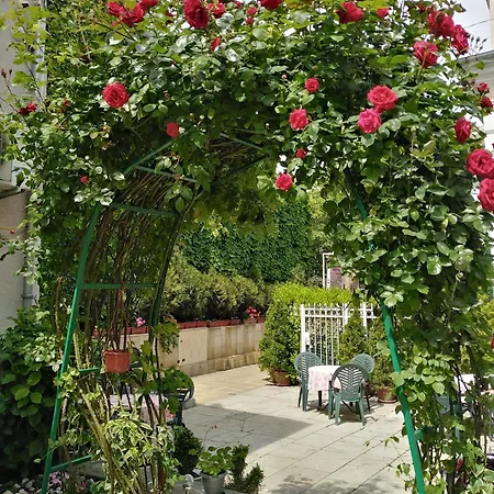 нотел релакс *